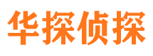 龙湾侦探调查公司